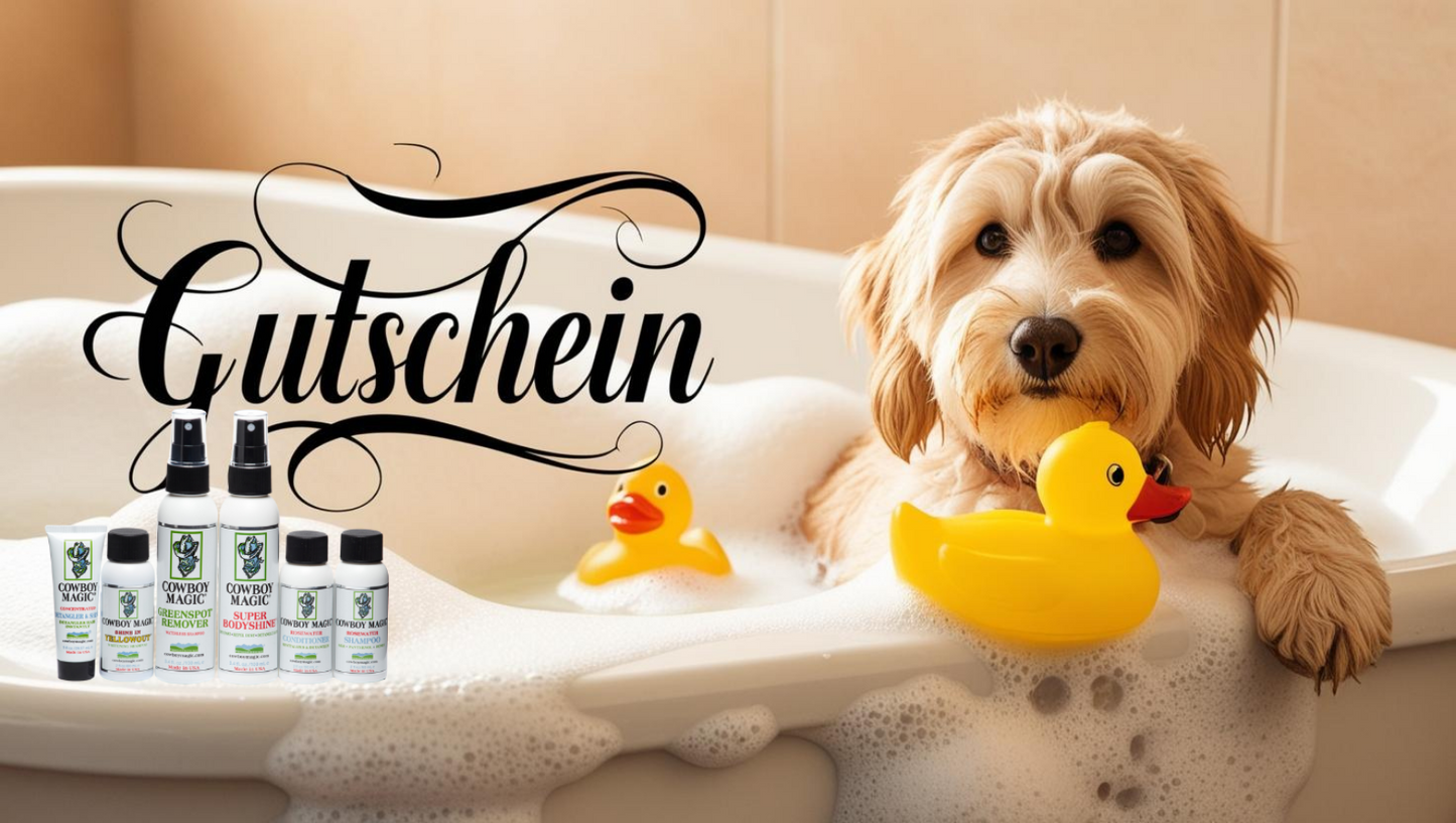 Haus des Hundes Gutschein